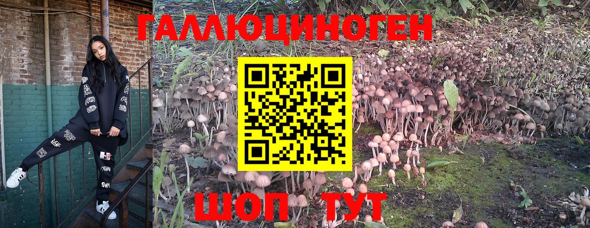 Псилоцибиновые грибы Magic Shrooms Рязань